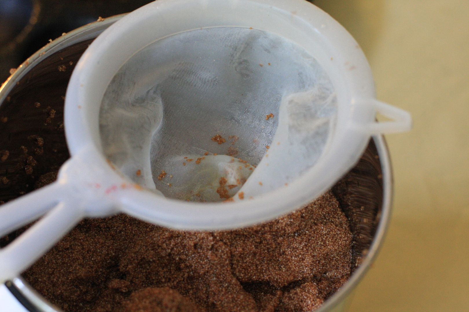 Whole grain Teff Injera bread Daily Musings Everyday Recipes and More